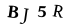 captcha-input