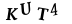 captcha-input