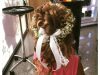 Κομμωτήριο Πρέβεζα Hair Spa Mata: Κούρεμα Γυναικείο, Κούρεμα Νυφικό, Hair Spa, Χτένισμα, Ανταύγειες, Βαφές, Κούρεμα Ανδρικό, Κούρεμα Παιδικό-greekcatalog.net