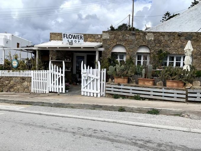 Flower Shop | Mykonos Vougli Cyclades | Paradise Flowers
