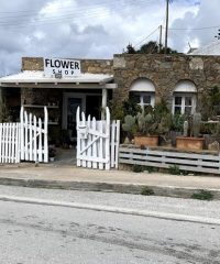 Flower Shop | Mykonos Vougli Cyclades | Paradise Flowers