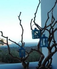 Rooms to let | Tilos Dodecanese | Tilos Island House