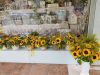 Flower Shop Wedding Baptism Events | Loutraki Corinthia | Anthorama - greekcatalog.net