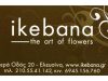 ΑΝΘΟΠΩΛΕΙΟ ΕΛΕΥΣΙΝΑ | IKEBANA THE ART OF FLOWERS