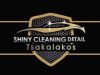 ΠΕΡΙΠΟΙΗΣΗ ΑΥΤΟΚΙΝΗΤΩΝ-MOTO ΜΕΛΙΣΣΙΑ | SHINY CLEANING DETAIL TSAKALAKOS - greekcatalog.net