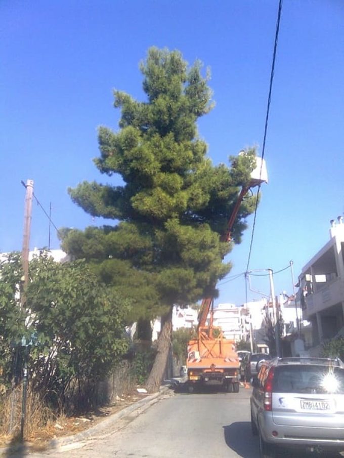 ΕΝΟΙΚΙΑΣΕΙΣ ΑΝΥΨΩΤΙΚΩΝ ΚΑΛΑΘΟΦΟΡΩΝ ΣΠΑΤΑ | ΑΚ --- greekcatalog.net