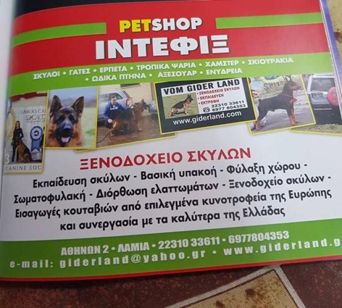 PET SHOP ΕΚΤΡΟΦΕΙΟ ΕΚΠΑΙΔΕΥΣΗ ΣΚΥΛΩΝ ΠΑΝΣΙΟΝ | ΛΑΜΙΑ ΦΘΙΩΤΙΔΑ | ΙΝΤΕΦΙΞ - greekcatalog.net