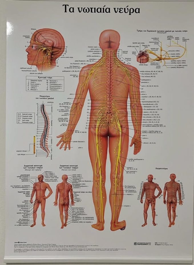 ΚΕΝΤΡΟ ΦΥΣΙΟΘΕΡΑΠΕΙΑΣ ΣΠΗΛΙ ΡΕΘΥΜΝΟΥ | PHYSIO ΣΥΝΟΛΑΚΗ ΕΛΕΥΘΕΡΙΑ - ctb.gr