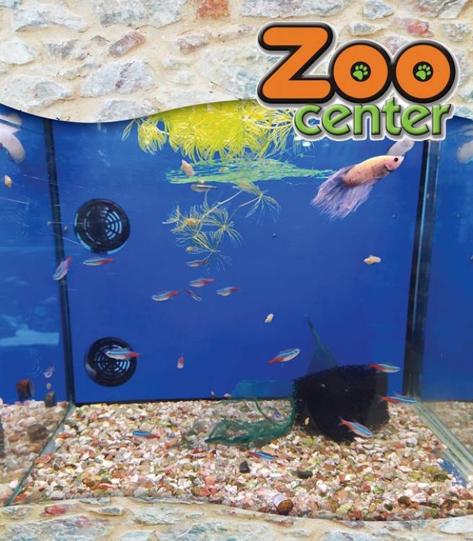 PET SHOP ΑΓΙΟΣ ΔΗΜΗΤΡΙΟΣ | ZOO CENTER - greekcatalog.net