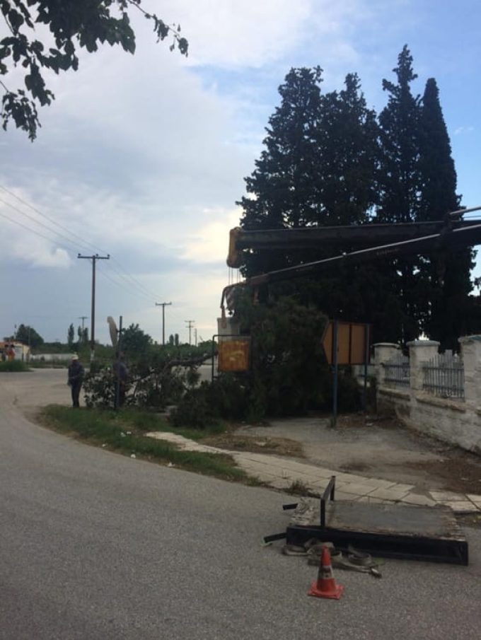 ΚΑΤΑΣΚΕΥΗ ΣΥΝΤΗΡΗΣΗ ΚΗΠΩΝ ΚΟΠΗ ΚΛΑΔΕΜΑ ΥΨΗΛΩΝ ΔΕΝΤΡΩΝ ΚΟΜΟΤΗΝΗ | ΕΠΙΣΚΕΠΤΗΣ ΙΩΑΝΝΗΣ --- greekcatalog.net