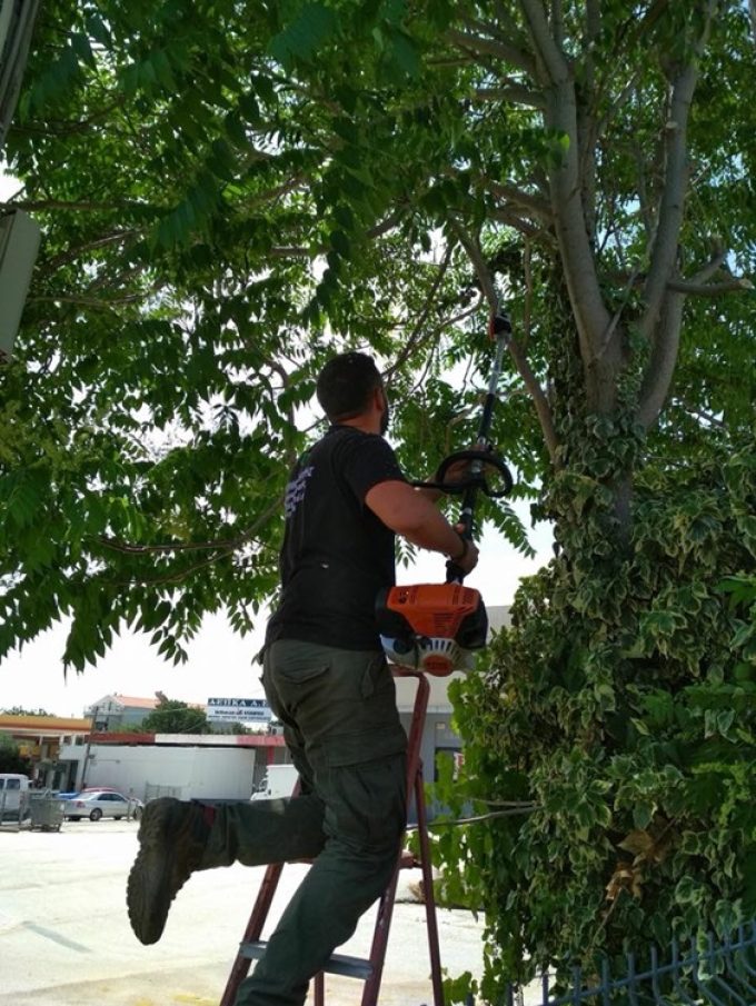 ΚΑΤΑΣΚΕΥΗ ΚΑΙ ΣΥΝΤΗΡΗΣΗ ΚΗΠΩΝ ΜΑΡΟΥΣΙ | GN GARDEN --- greekcatalog.net