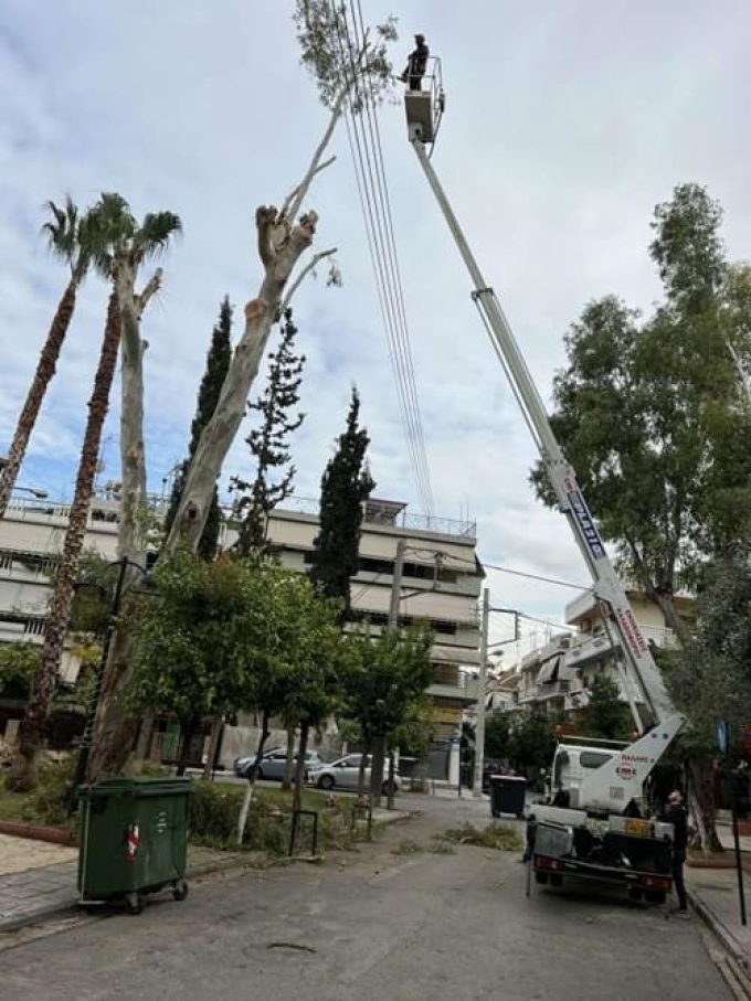 ΕΝΟΙΚΙΑΣΗ ΚΑΛΑΘΟΦΟΡΩΝ ΠΕΙΡΑΙΑΣ | ΠΑΛΛΗΣ ΒΑΣΙΛΗΣ---greekcatalog.net