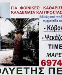 ΚΑΘΑΡΙΣΜΟΙ ΦΟΙΝΙΚΩΝ ΧΑΝΙΑ ΚΡΗΤΗ | ΑΜΠΝΤΟΥΛ ΜΑΡΙ