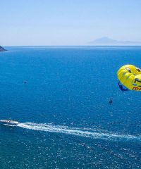 ΘΑΛΑΣΣΙΑ ΣΠΟΡ | DOLPHINS WATER SPORTS | ΠΟΤΟΣ ΘΑΣΟΣ