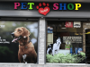 PET SHOP ΠΕΡΙΣΤΕΡΙ | PET HEART SHOP --- greekcatalog.net