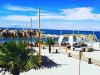 BEACH BAR ΘΑΣΟΣ ΠΕΥΚΑΡΙ | OASIS BEACH BAR - greekcatalog.net