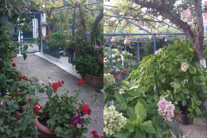 Ενοικαζόμενα Δωμάτια-Σαμοθράκη Έβρου-Alexi's Garden-greekcatalog.net