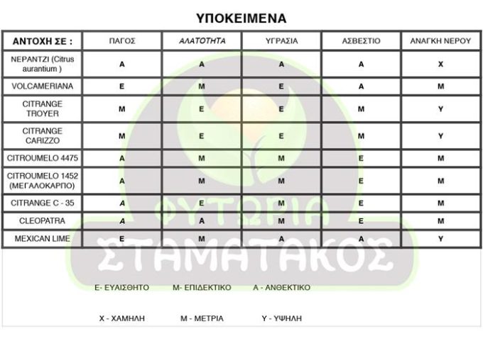 ΦΥΤΩΡΙΟ ΑΝΘΟΚΟΜΙΚΑ ΒΙΟΛΟΓΙΚΑ ΠΡΟΙΟΝΤΑ ΕΛΟΣ ΛΑΚΩΝΙΑ | ΣΤΑΜΑΤΑΚΟΣ-greekcatalog.net