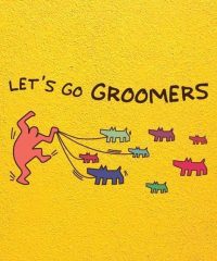 ΚΑΛΛΩΠΙΣΜΟΣ ΚΑΤΟΙΚΙΔΙΩΝ ΧΑΛΑΝΔΡΙ | LET’S GO GROOMERS