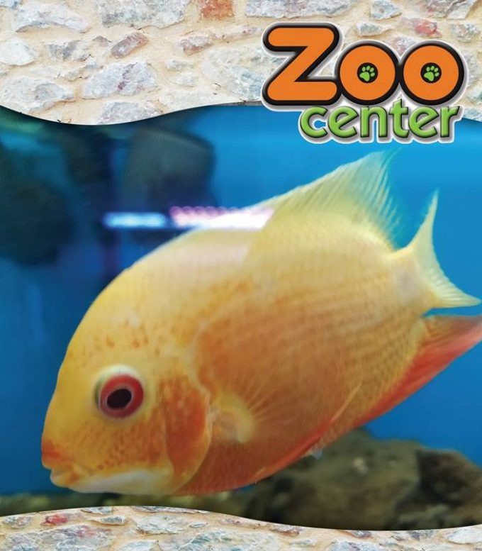 PET SHOP ΑΓΙΟΣ ΔΗΜΗΤΡΙΟΣ | ZOO CENTER - greekcatalog.net