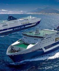 ΝΑΥΤΙΛΙΑΚΟ ΠΡΑΚΤΟΡΕΙΟ | ΝΙΚΑΙΑ-ΠΕΙΡΑΙΑ HFSS | HELLENIC FERRY SERVICES AE