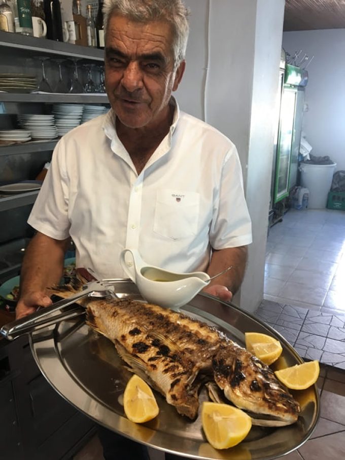 ΤΑΒΕΡΝΑ ΚΙΟΤΑΡΙ ΡΟΔΟΣ | STEFANO FISH TAVERN - greekcatalog.net