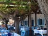 ΤΑΒΕΡΝΑ ΚΙΟΤΑΡΙ ΡΟΔΟΣ | STEFANO FISH TAVERN - greekcatalog.net