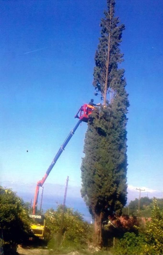 ΧΩΜΑΤΟΥΡΓΙΚΕΣ ΕΡΓΑΣΙΕΣ - ΟΙΚΟΔΟΜΙΚΑ ΥΛΙΚΑ - ΚΑΥΣΟΞΥΛΑ ΑΙΓΕΙΡΑ ΑΧΑΪΑΣ | ΑΦΟΙ ΡΟΖΟΥ - greekcatalog.net