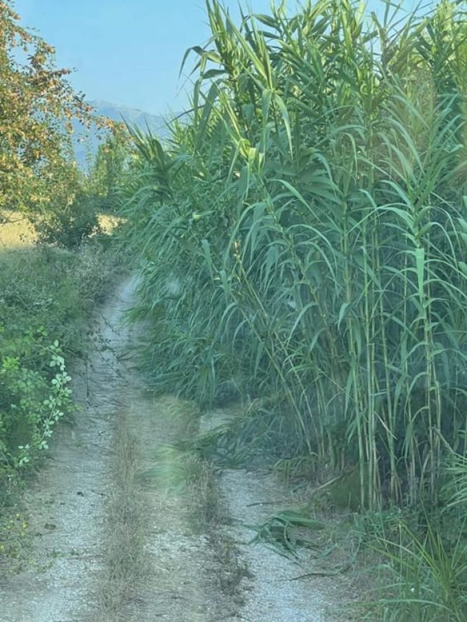 ΚΑΤΑΣΚΕΥΗ ΣΥΝΤΗΡΗΣΗ ΚΗΠΩΝ ΑΡΤΑ | ΑΘΑΝΑΣΙΟΥ ΧΑΡΑΛΑΜΠΟΣ - greekcatalog.net