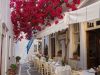 RESTAURANT TAVERN CHORA MYKONOS | KATRIN - greekcatalog.net