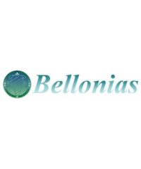 ΤΟΥΡΙΣΤΙΚΟ ΓΡΑΦΕΙΟ | ΜΕΣΑΡΙΑ ΣΑΝΤΟΡΙΝΗ | BELLONIAS TRAVEL