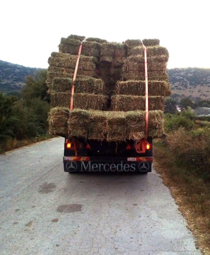 ΟΙΚΟΔΟΜΙΚΕΣ ΧΩΜΑΤΟΥΡΓΙΚΕΣ ΕΡΓΑΣΙΕΣ ΙΩΑΝΝΙΝΑ | ΛΙΑΠΗΣ ΧΡΗΣΤΟΣ --- greekcatalog.net