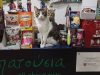 PET SHOP ΔΡΑΠΕΤΣΩΝΑ | ΤΑ ΠΑΤΟΥΣΙΑ --- greekcatalog.net