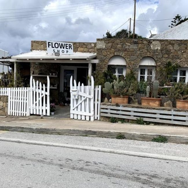 Flower Shop | Mykonos Vougli Cyclades | Paradise Flowers