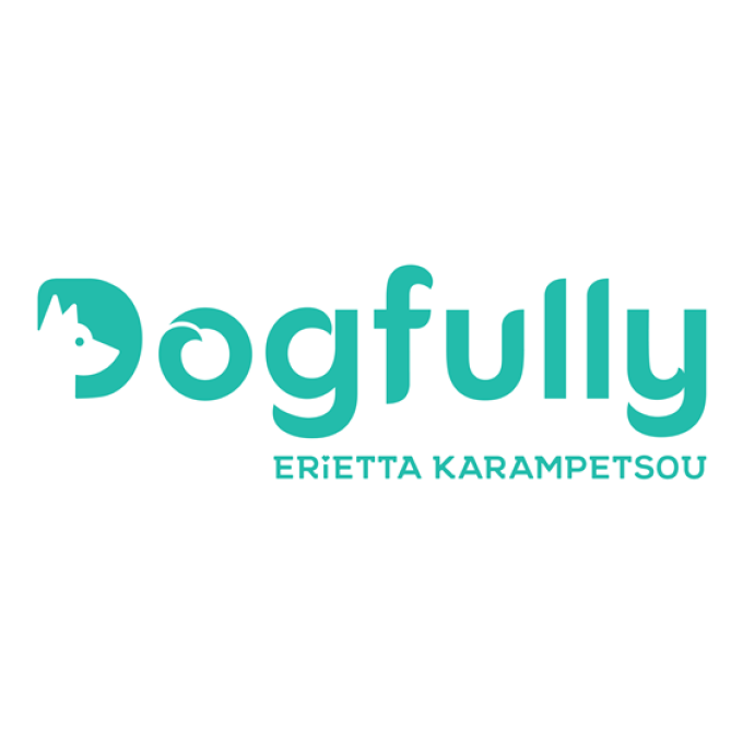 ΕΚΠΑΙΔΕΥΣΗ ΣΚΥΛΩΝ ΠΕΙΡΑΙΑΣ | DOGFULLY