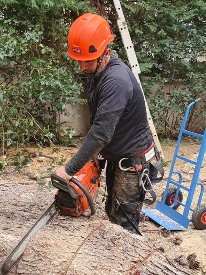 ΚΟΠΗ ΔΕΝΤΡΩΝ ΚΗΠΟΥΡΟΣ ΑΘΗΝΑ | COBANI GENCI