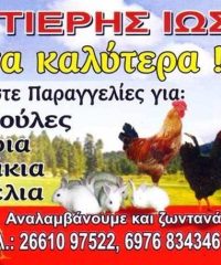 ΚΡΕΟΠΩΛΕΙΟ ΔΑΣΣΙΑ ΚΕΡΚΥΡΑ | Η ΦΑΡΜΑ ΤΟΥ ΣΩΤΗΡΗ