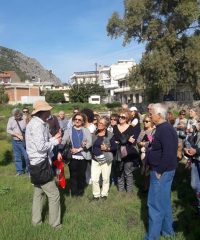 ΞΕΝΑΓΟΣ ΤΙΡΥΝΘΑ | ΠΑΠΑΔΟΠΟΥΛΟΣ ΗΛΙΑΣ