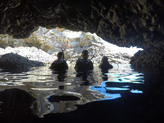 ΚΑΤΑΔΥΤΙΚΟ ΚΕΝΤΡΟ ΦΑΛΗΡΑΚΙ ΡΟΔΟΣ | BIG FISH DIVE CENTER --- greekcatalog.net