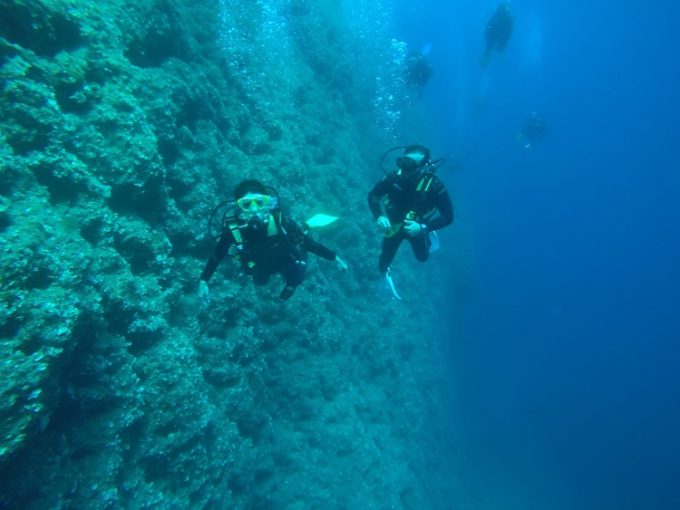 ΚΑΤΑΔΥΤΙΚΟ ΚΕΝΤΡΟ ΦΑΛΗΡΑΚΙ ΡΟΔΟΣ | BIG FISH DIVE CENTER --- greekcatalog.net