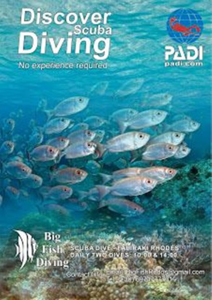 ΚΑΤΑΔΥΤΙΚΟ ΚΕΝΤΡΟ ΦΑΛΗΡΑΚΙ ΡΟΔΟΣ | BIG FISH DIVE CENTER --- greekcatalog.net