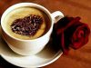 ΚΑΦΕΤΕΡΙΑ ΜΕΣΟΛΟΓΓΙ | COFFEE CORNER --- greekcatalog.net