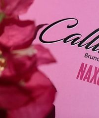 CAFE BAR NAXOS | CALLISTO