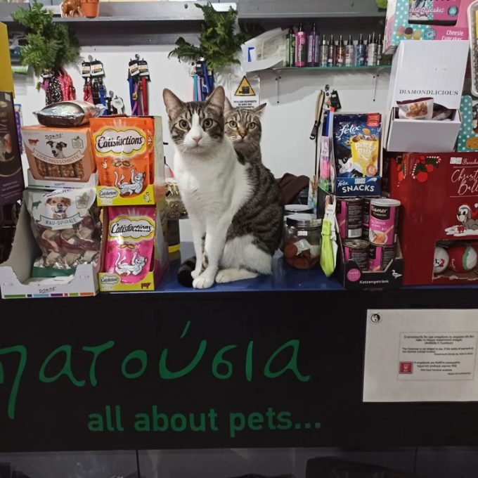 PET SHOP ΔΡΑΠΕΤΣΩΝΑ | ΤΑ ΠΑΤΟΥΣΙΑ --- greekcatalog.net