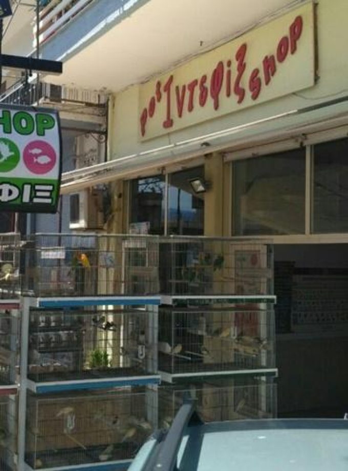 PET SHOP ΕΚΤΡΟΦΕΙΟ ΕΚΠΑΙΔΕΥΣΗ ΣΚΥΛΩΝ ΠΑΝΣΙΟΝ | ΛΑΜΙΑ ΦΘΙΩΤΙΔΑ | ΙΝΤΕΦΙΞ - greekcatalog.net