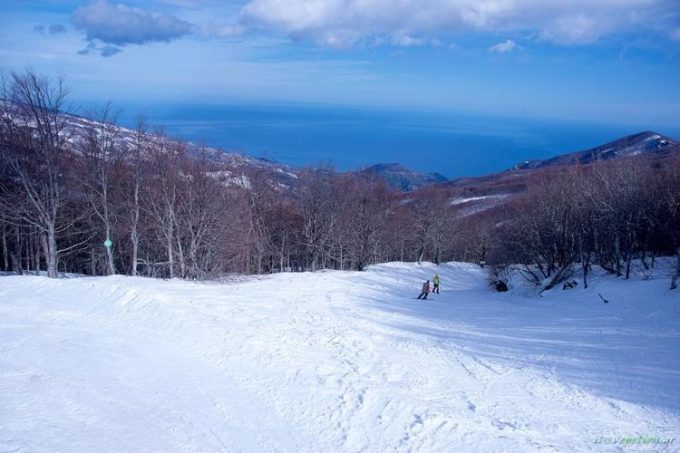 ΕΝΟΙΚΙΑΖΟΜΕΝΑ ΔΩΜΑΤΙΑ-ΔΙΑΜΕΡΙΣΜΑΤΑ | ΠΗΛΙΟ | ΑΛΚΜΗΝΗ APARTMENTS