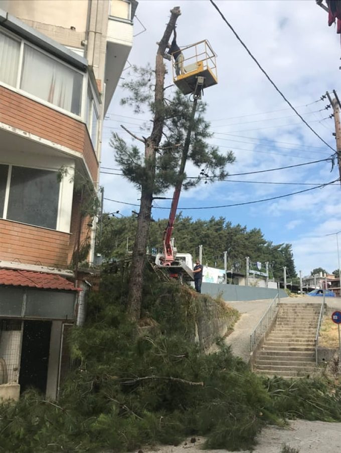 ΚΑΤΑΣΚΕΥΗ ΣΥΝΤΗΡΗΣΗ ΚΗΠΩΝ ΑΡΤΑ | ΑΘΑΝΑΣΙΟΥ ΧΑΡΑΛΑΜΠΟΣ - greekcatalog.net