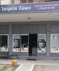 ΚΤΗΝΙΑΤΡΟΣ ΙΑΤΡΕΙΟ ΜΙΚΡΩΝ ΖΩΩΝ | ΣΧΗΜΑΤΑΡΙ ΒΟΙΩΤΙΑΣ | ΠΑΠΑΘΑΝΑΣΙΟΥ ΔΗΜΗΤΡΑ