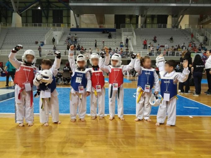 ΣΧΟΛΗ ΠΟΛΕΜΙΚΩΝ ΤΕΧΝΩΝ | ΠΑΛΛΗΝΗ | TAEKWONDO-HAPKIDO | ΑΘΛΗΤΙΚΟΣ ΣΥΛΟΓΟΣ ΔΥΝΑΜΗ ΠΑΛΛΗΝΗΣ - greekcatalog.net