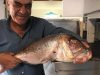 ΤΑΒΕΡΝΑ ΚΙΟΤΑΡΙ ΡΟΔΟΣ | STEFANO FISH TAVERN - greekcatalog.net